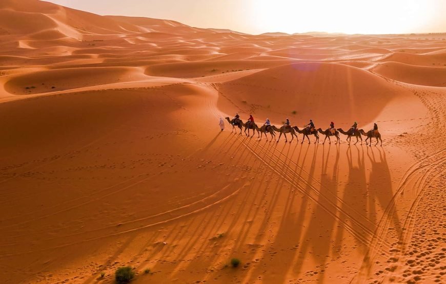 Circuit de 8 jours à la découverte des kasbahs et du désert du Maroc au départ de Casablanca