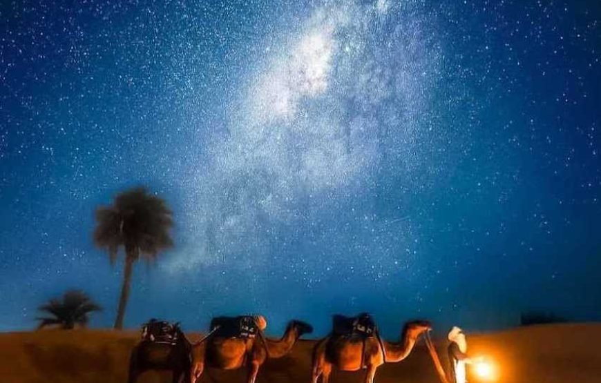 Circuit de 8 jours à la découverte des lieux majestueux du Maroc au départ de Marrakech