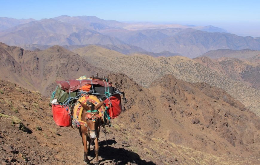 7 jours de trekking de Marrakech au Toubkal et à la découverte des Berbères